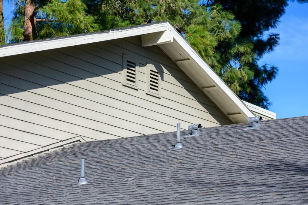 AdobeStock 1264403817 – Genuine Pest Control Remove Bats from Your Home
